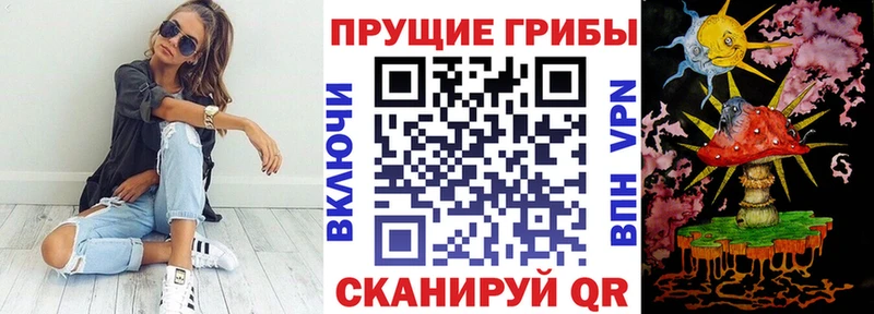 OMG   Карабаново  Галлюциногенные грибы мухоморы 